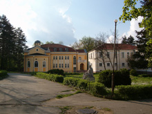 100   :  :  2